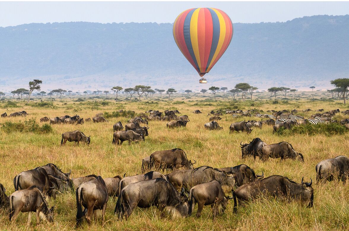 TANZANIA SAFARI