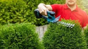 Landscaping Services london